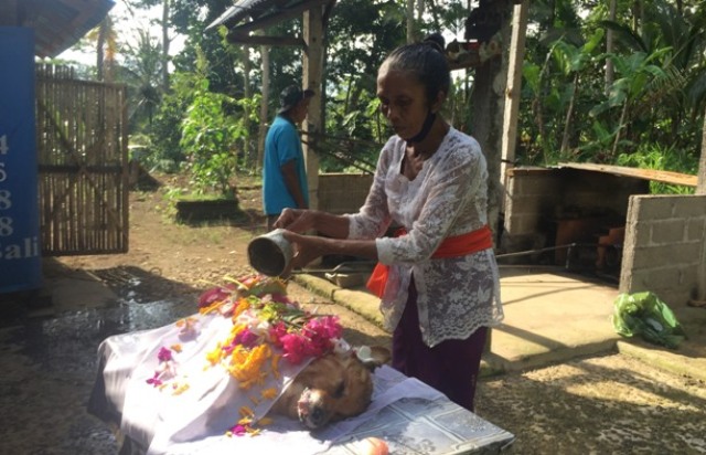 KREMASI: Upacara kremasi terhadap hewan peliharaan.