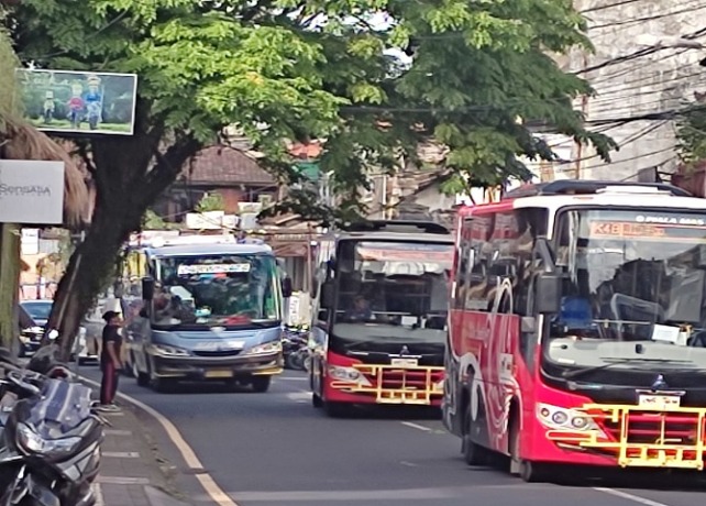 PELAN : Bus yang melintas di di Jalan Monkey Forest, Kecamatan Ubud, Gianyar, berjalan pelan agar tidak tersangkut kabel listrik yang melintang landai di jalan tersebut, Selasa (19/7). (ISTIMEWA)