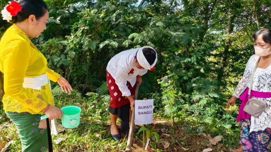 TUMPEK WARIGA : Bupati Bangli Sang Nyoman Sedana Arta menanam pohon pada Tumpek Wariga, Sabtu (14/5) lalu. Ist