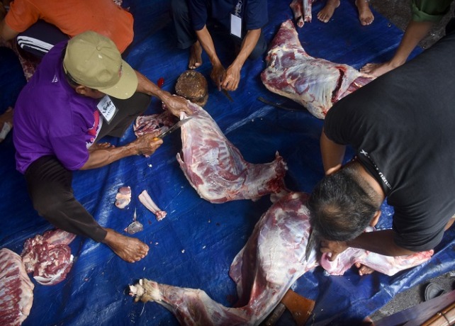 KURBAN : Pemotongan hewan kurban yang dagingnya dibagikan kepada umat lintas agama, Minggu (10/7). (AGUNG BAYU/BALI EXPRESS)