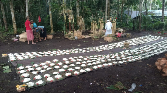 ACI NGANGON : Aci Ngangon dilaksanakan di Desa Adat Geriana Kangin, Kecamatan Selat, Karangasem, Rabu (17/8) lalu. Ist