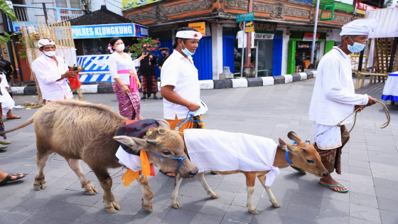 MAPEPADA : Upacara Mapepada di catus pata Kota Semarapura, Klungkung, Selasa (1/3) lalu. Ist