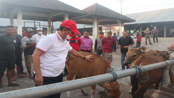 PASAR HEWAN : Bupati Karangasem I Gede Dana melakukan pemantauan di Pasar Hewan Rubaya, Kecamatan Kubu, Sabtu (1/10). Ist