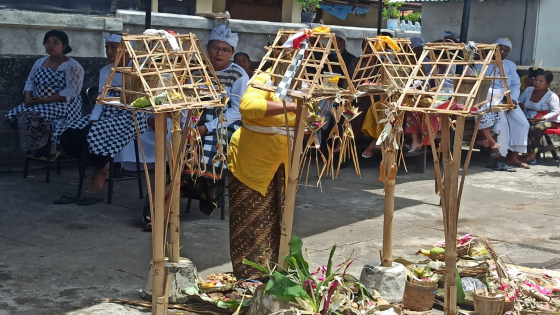KLAKAT :&nbsp;&nbsp;Penggunaan Klakat sebagai sarana ritual dalam berbagai upacara Panca Yadnya. I Putu Mardika/Bali Express.