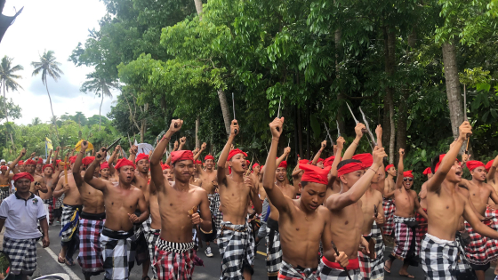 TRADISI NYERET : Krama Desa Adat Ababi, Abang, Karangasem saat melaksanakan tradisi Nyeret, Rabu (12/10).Wayan Adi Prabawa/Bali Express