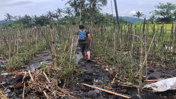 RUSAK: Kondisi sawah milik I Nyoman Turun di Dusun Pagubugan, Desa Duda, Selat, setelah diterjang air bah beberapa waktu lalu. I Wayan Adi Prabawa/Bali Express