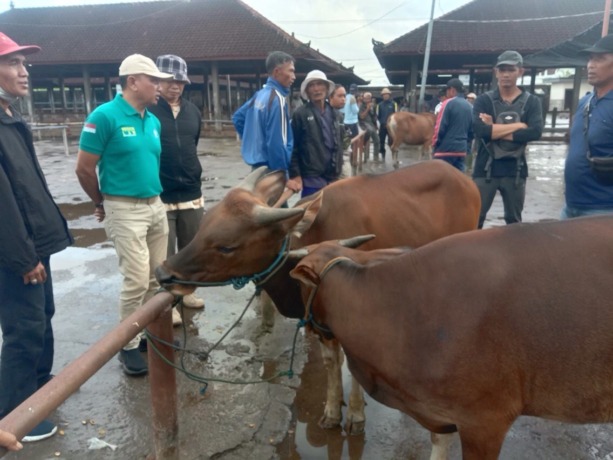 Transaksi: Kegiatan jual beli sapi di Pasar Hewan Beringkit, Desa Mengwitani, Kecamatan Mengwi. (IST)