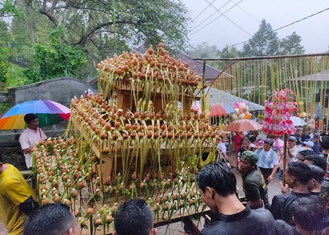 TRADISI : Parade budaya dan tradisi Sokok di Desa Pegayaman. (DIAN SURYANTINI/BALI EXPRESS)