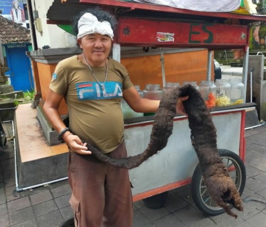 RAMBUT GIMBAL: Jro Made Winata memperlihatkan rambut gimbal sepanjang 3 meter di tempatnya berjualan es campur depan Pasar Kidul, Bangli. (I Made Mertawan/Bali Express)