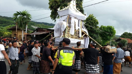 NGABEN : Prosesi Ngaben di Desa Julah menggunakan bade bambu. (ist)