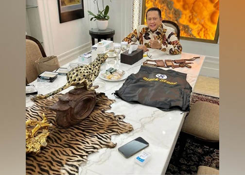 REPLIKA: Bambang Soesatyo dengan taplak meja replika kulit harimau.