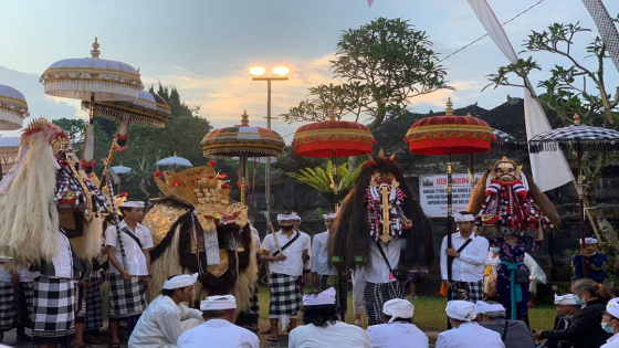 PIODALAN AGENG : Prosesi Paruman Barong di Pura Luhur Natar Sari, Desa Apuan, Kecamatan Baturiti Tabanan saat Tumpek Krulut beberapa waktu lalu. (Ist)
