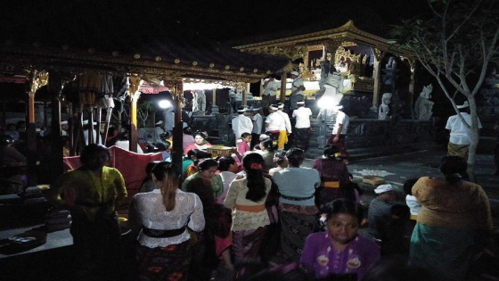 MAKETEKAN : Prosesi Maketekan krama Desa Adat Patas, Kecamatan Tegallalang, Gianyar saat Sasih Kanem. (Ist)