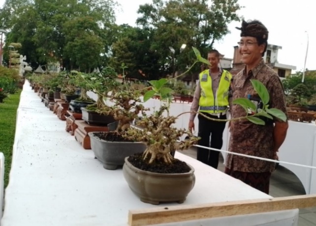 BERTABUR BINTANG : Sejumlah tanaman bonsai yang dipamerkan dalam Pamnas Bintang PPBI Gianyar 2023 di Alun-alun Gianyar. (istimewa)