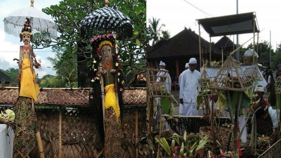 PACARUAN:  Sebelum puncak Pabuncingan Jero Dong Ding, terlebih dulu melaksanakan pacaruan di catus pata desa. Ist