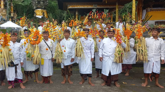 SALARAN WAKUL : Krama laki-laki di Desa Adat Geriana Kangin membawa salaran wakul saat Ngapitu Nyungsung. Ist