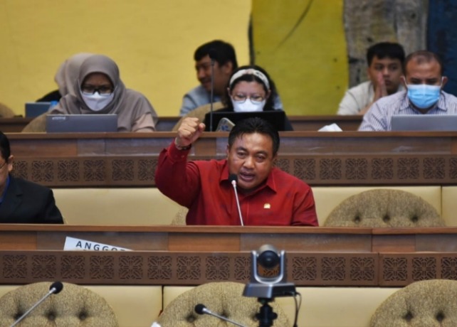 Anggota Komisi VI DPR RI I Nyoman Parta.