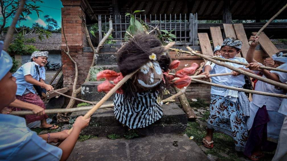 MUHU-MUHU : Anak-anak Desa Tenganan Pegringsingan mengikuti salah satu prosesi tradisi Muhu-Muhu. Ist