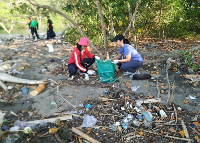 PESISIR : Masyarakat Desa Sidakarya saat melakukan bersih-bersih dan penghijauan di wilayah pesisir pada Kamis (18/5). Salah satunya adalah penanaman Pohon Cemara Udang. (ISTIMEWA)