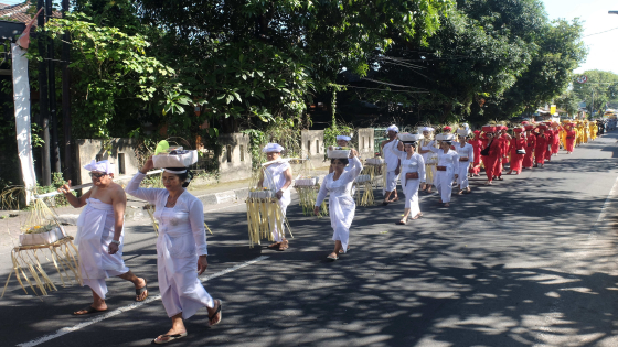 MAPEED : Pelaksanaan mapeed dalam prosesi Nyenuk Pura Dalem Manik Penataran Agung Lumintang ke Pura Desa Denpasar, Senin (15/5) . Agung Bayu/Bali Express