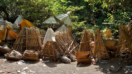 SEMA WAYAH: Sema Wayah tempat jenazah mepasah di Desa Adat Trunyan, Kecamatan Kintamani, Bangli  Ist