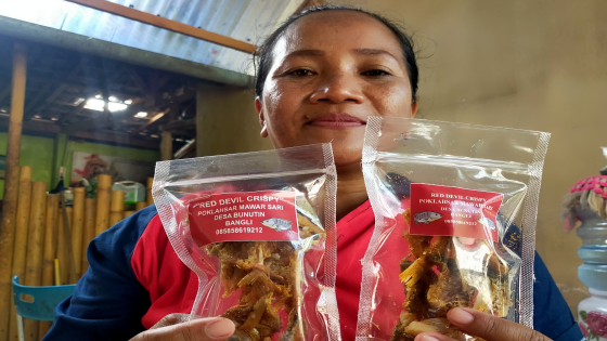 RED DEVIL : Ni Putu Eka Supraptiningsih menunjukkan Red Devil Crispy, Jumat (9/6). I Made Mertawan/Bali Express