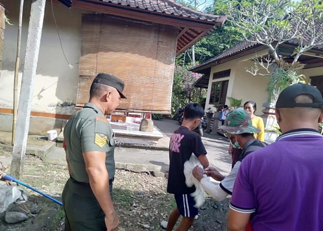 CEGAH RABIES : Vaksinasi rabies di Desa Kelusa, Payangan, Jumat (16/6). (ISTIMEWA)