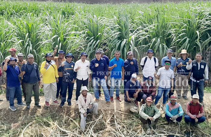 MITRA PERUSAHAAN : Jajaran PG Asembagus meninjau lahan tebu milik petani di Desa Seletreng, Kecamatan Kapongan, belum lama ini.