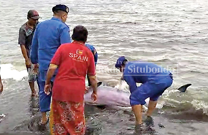 DISELAMATKAN: Anggota Satpolairud Polres Situbondo dibantu warga di perairan pantai Jangkar Kecamatan Jangkar, kemarin (31/1).