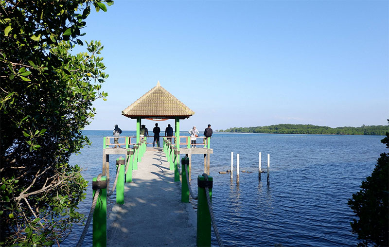 Dermaga mangrove di sisi selatan Pantai Bama ini sayang dilewatkan jika berkunjung ke TN Baluran Situbondo.