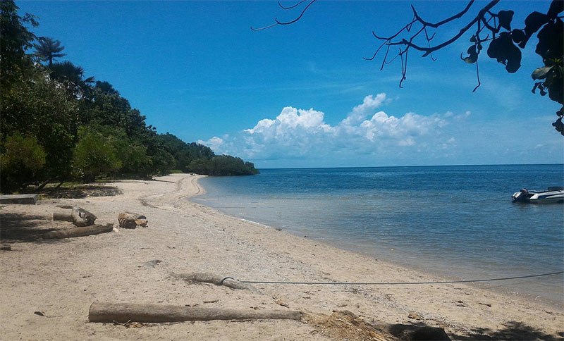 Pantai Bama di sisi timur Taman Nasional Baluran ini menyimpan beragam keindahan alam.