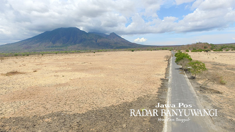 Padang Savana Bekol TN Balurang terlihat kering kerontang di musim kemarau. Di pagi dan sore hari, tempat ini dipenuhi satwa lindung.