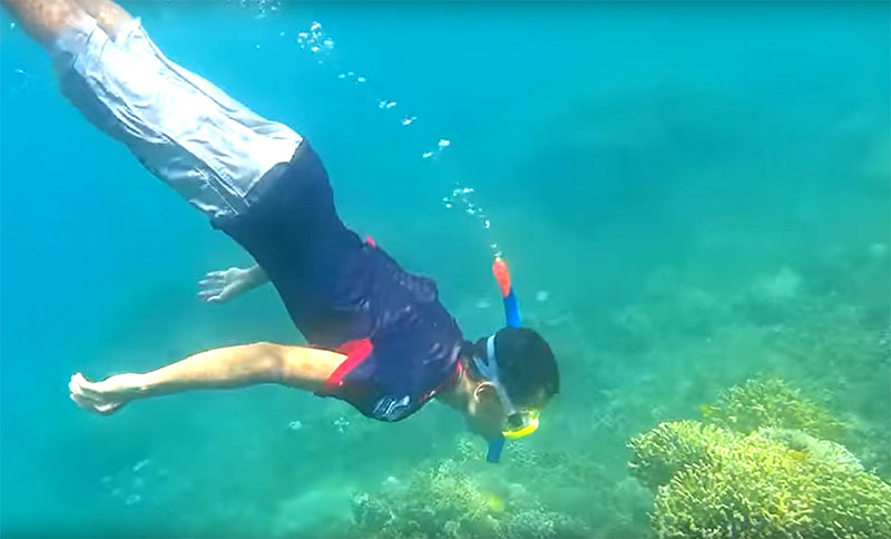 Pengunjung bisa melakukan sSnorkeling di Pantai Bama Taman Nasional Baluran Situbondo.