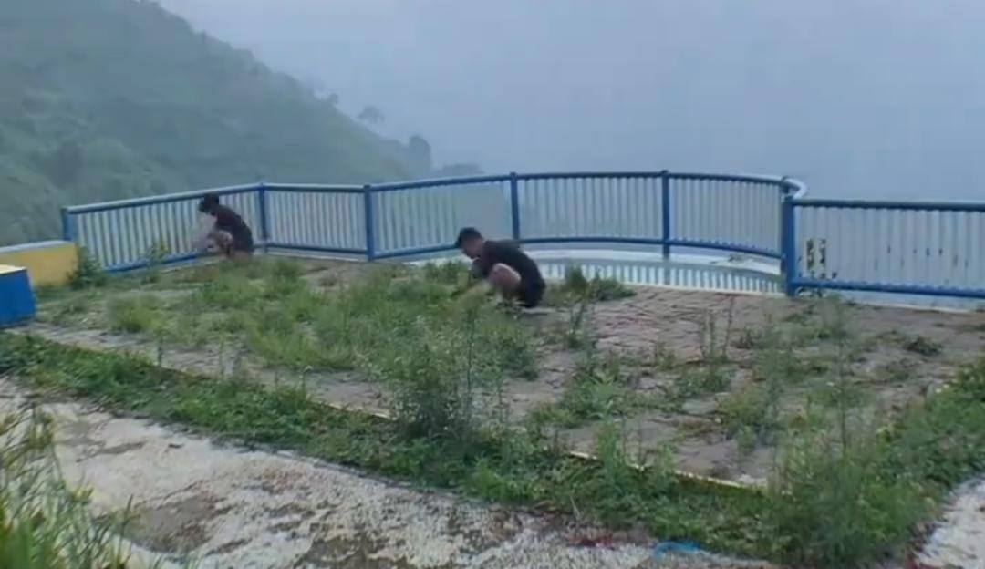 Sekelompok pemuda membersihkan rumput liar di Plaza Rengganis Situbondo.