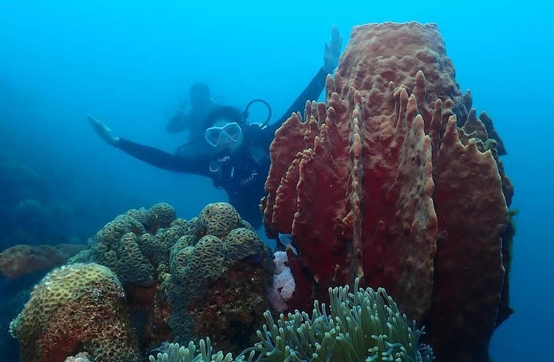 Kaesang Pangarep dan Erina Gudono saat diving di perairan Pasir Putih Situbondo.