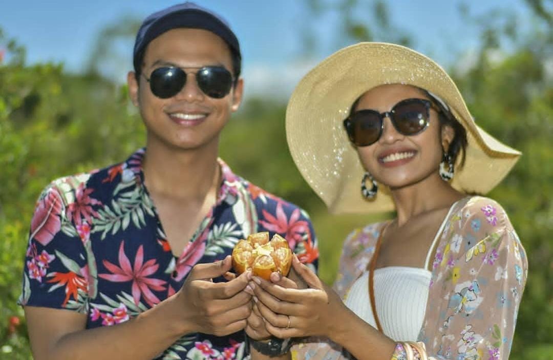Salah seorang wisatawan yang memetik delima di agrowisata Labuan Merak, Baluran, Situbondo.