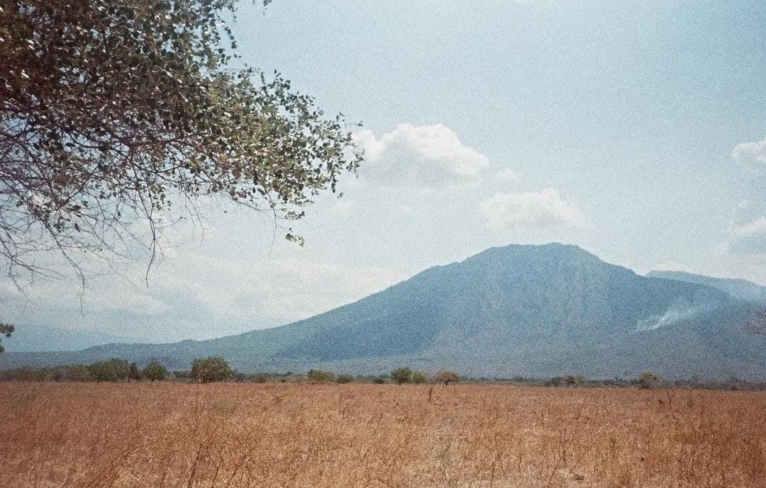 Kawasan TN Baluran Situbondo siap kembali dibuka untuk wisatawan usai ditutup selama 1 bulan.