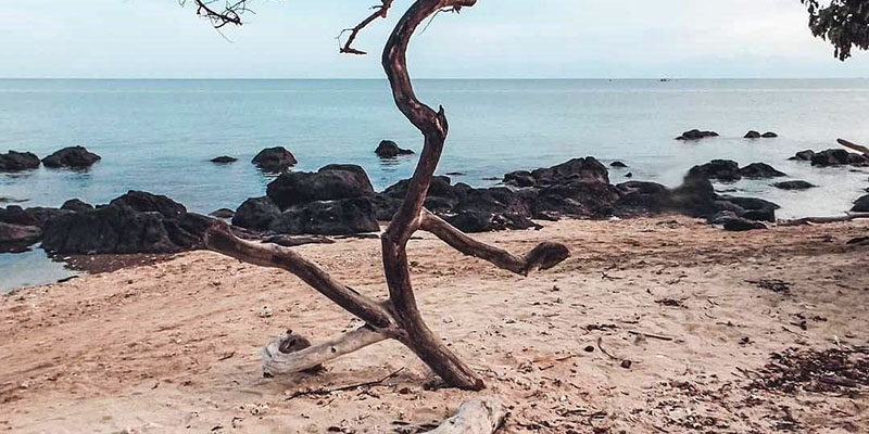 Pemandangan Pantai Bama di kawasan TN Baluran, Situbondo. (Khoirul Rizal/RadarSitubondo.id