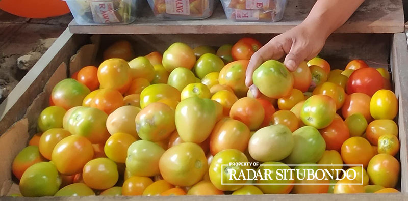 MELEJIT: Harga tomat di Pasar Genteng 1 Desa Genteng Kulon, Kecamatan Genteng tetap, Banyuwangi, tinggi hingga Jumat (16/2).