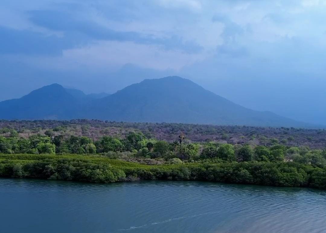 Pemandangan dari atas udara Pantai Sijile, Baluran, Situbondo. (Khoirul Rizal/RadarSitubondo.id)