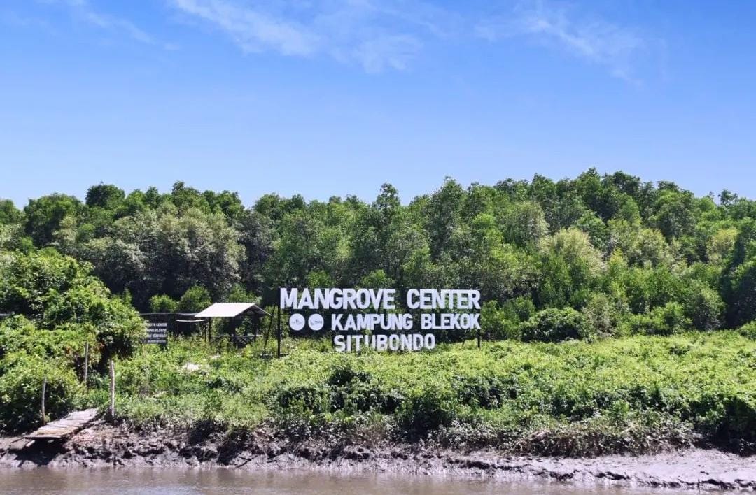 Kampung Blekok Situbondo menjadi mangrove centre. (Khoirul Rizal/RadarSitubondo.id)