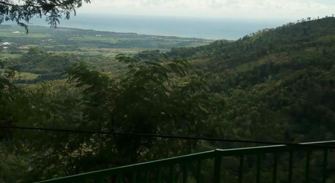Pemandangan wisata arak-arak