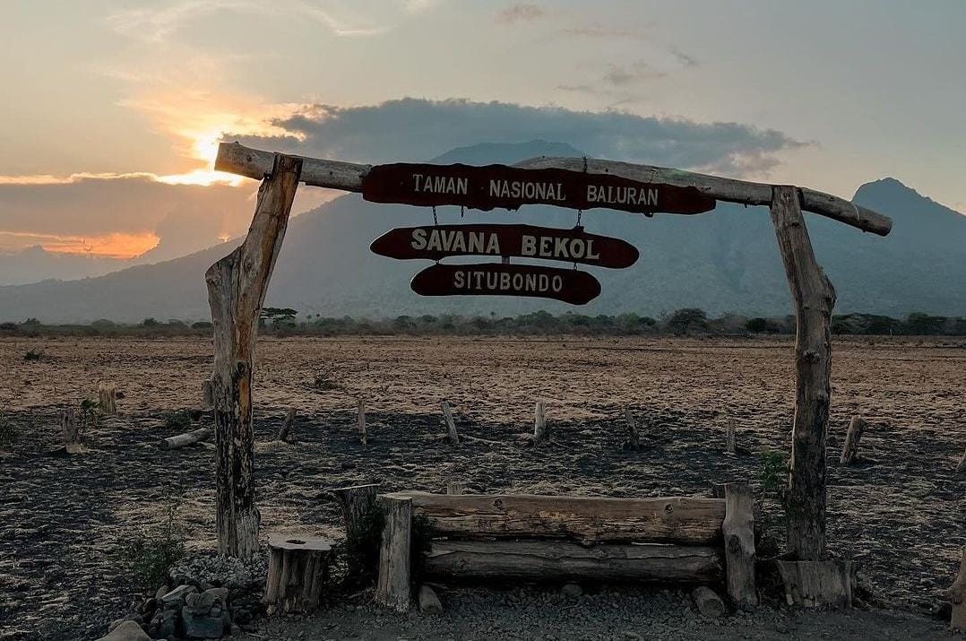 Savana Bekol TN Baluran Situbondo