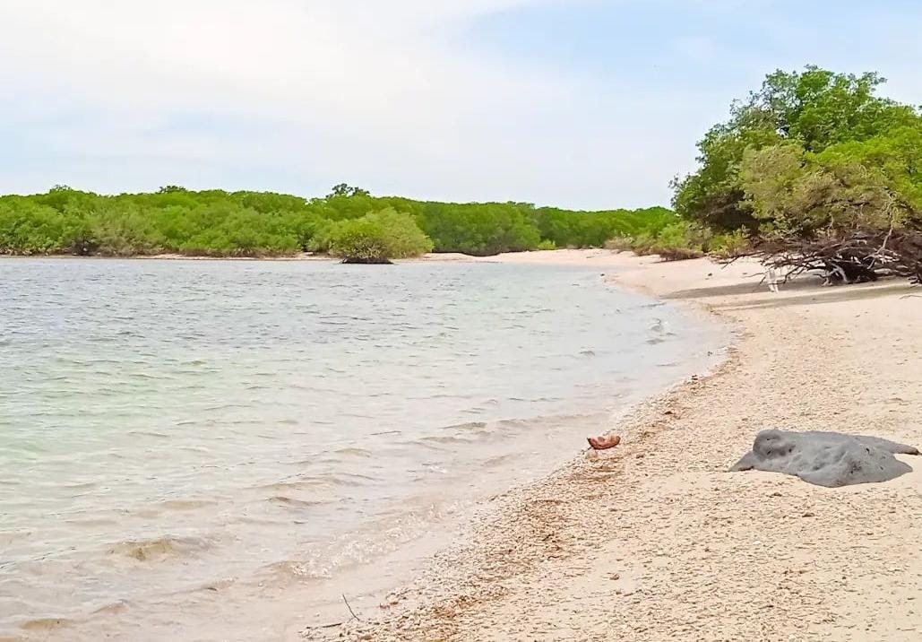 Pantai Lempuyang di kawasan TN Baluran