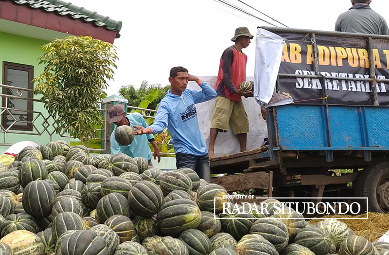 DITUMPUK: Sejumlah buruh kasar menurunkan buah blewa dari bak Chevrolet, di Desa/Kecamatan Kendit, Senin (11/3).