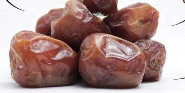 kurma