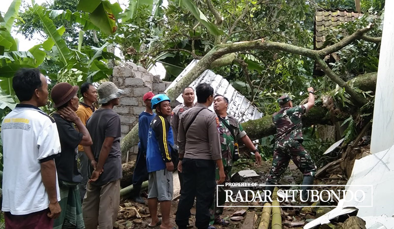 BENCANA: Forkopimcam Sumbermalang memindahkan pohon yang menimpa rumah warga di Desa Tlogosari, Kecamatan Sumbermalang, Rabu (13/3).