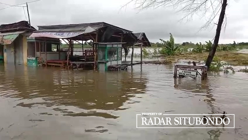 TENGGELAM: Puluhan hektare sawah di Desa Wonokoyo, Kecamatan Kapongan, tertutup genangan air, Rabu (13/3).