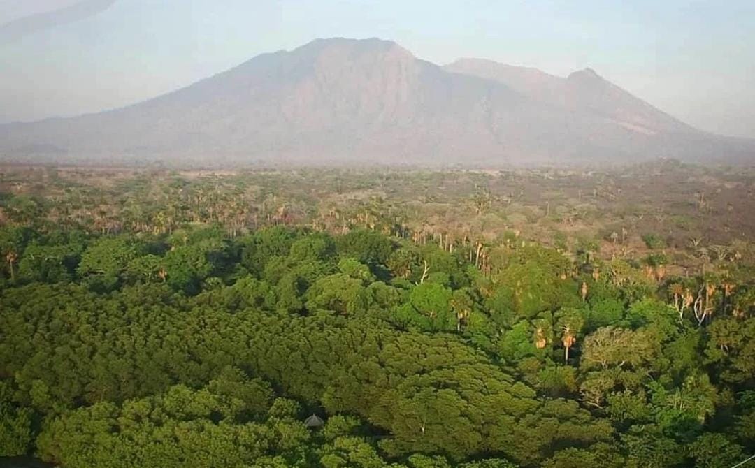 Taman Nasional Baluran dari atas ketinggian. (ig @kementerianlhk)