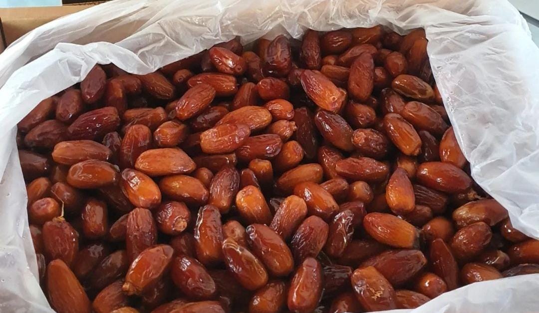 Ilustrasi buah kurma. (ig @kurma_joga)